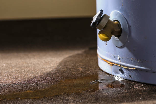 Best Water damage contractors near me  in Summit, IL
