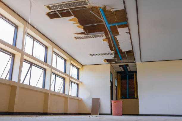 Best Carpet water damage restoration  in Summit, IL
