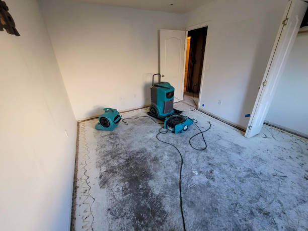 Best Water damage restoration company  in Summit, IL