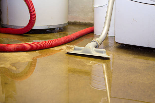 Best Local water damage restoration  in Summit, IL