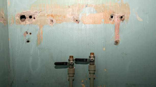 Best Flood damage cleanup  in Summit, IL