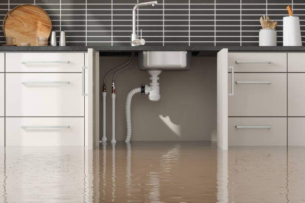Best Water damage restoration near me  in Summit, IL